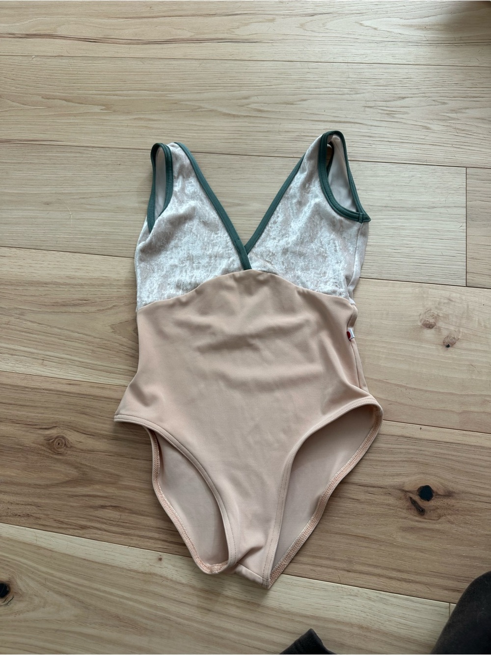 Yumiko Two-Tone Beige and Sage Green Leotard